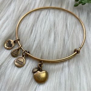 Alex and Ani apple charm bracelet